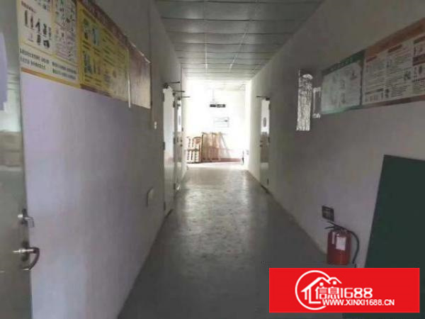 观澜轻轨站边新出楼上700平方，豪华装修，无需转让费，月底空