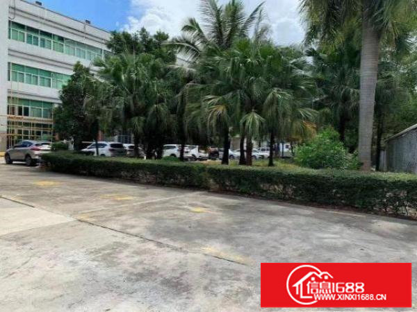 深圳市松岗新出原房东红本独院厂房36000㎡一楼7米高带牛角