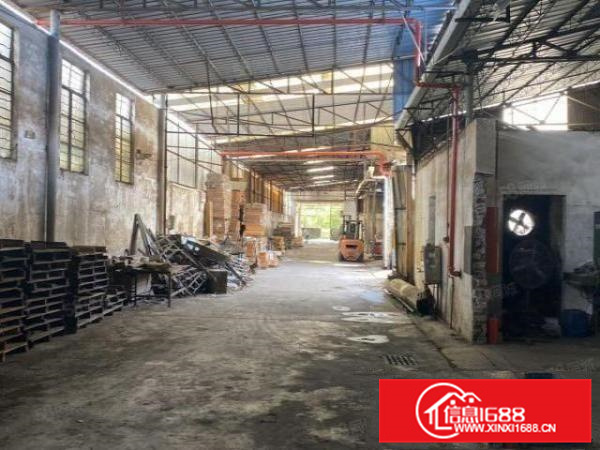 伦教三洲3000方简易厂房出租，交通便利