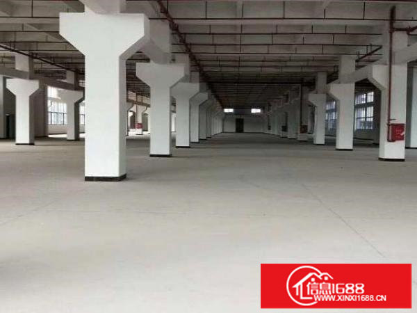深圳坪山工业厂房1200平，带3吨货梯招租