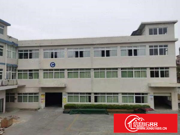 常平花园式独栋厂房出租,带装修拎包入住,水电齐全,宿舍按需