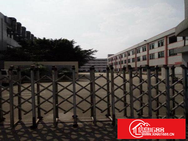 龙华大浪独院厂房3000/6000/8000平招租