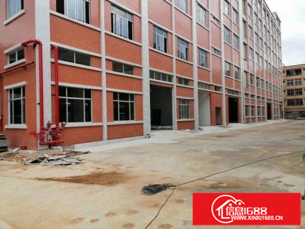 东莞清溪荔横新出标准一楼800平，高6米带5吨行车厂房出租