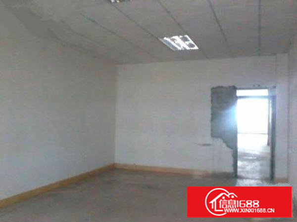 塘厦莲湖原房东标准一楼400平方、可实量租金便宜