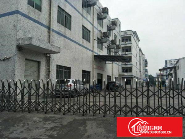 清溪原房东9000平方标准独院厂房出租