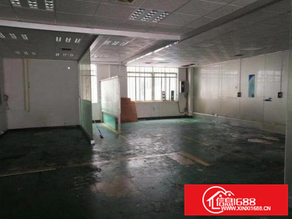 冼沙村新出1楼300平带办公室，五金车间水电出租