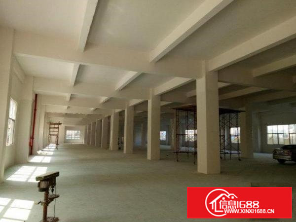 新出一楼5.5米高1200平方出租