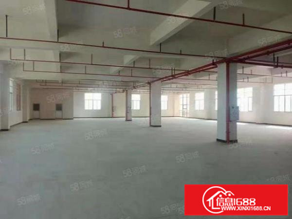 大朗象山工业城全新独栋一楼层高7米2760平厂房出租可办环评