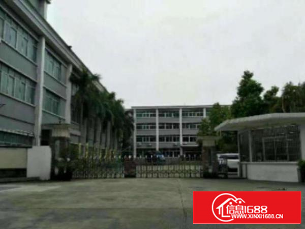 高埗标准一楼重工业有办公室装修厂房3000平方火爆招租