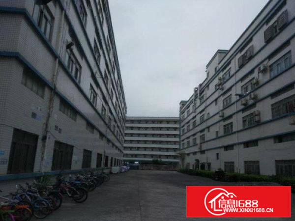 镇隆新出原房东厂房三栋29600平米出租可分租