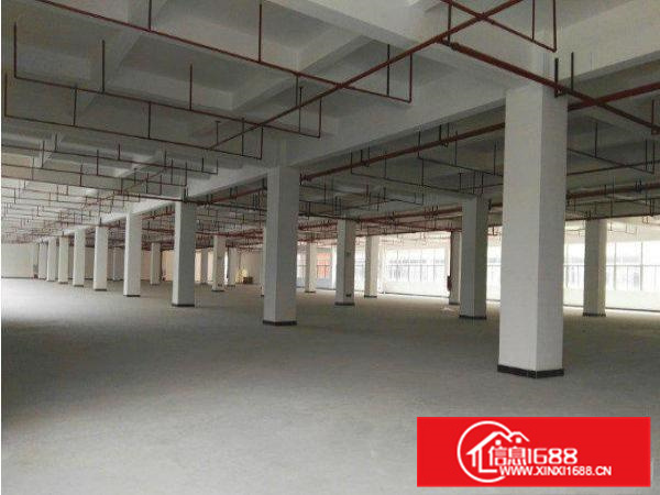 出租仲恺潼侨新出全新厂方1楼整层500平米