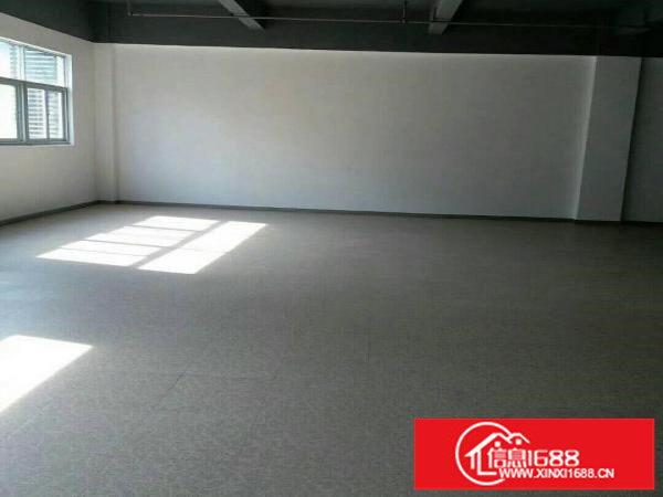 横岗原房东300平至1000平带装修厂房出租可分租