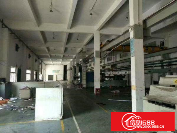 坑梓秀新新出5米一楼标准厂房800平厂房招租