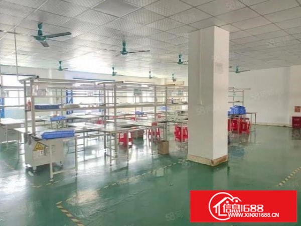 原房东独门独院超大空地可办环评红本厂房精装修厂房，水电齐全。