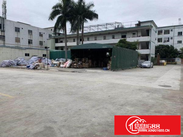 原房东红本独院标准厂房出租5000平空地超大有行车