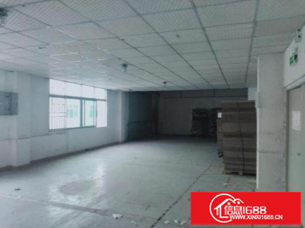 红本标准厂房仓库出租