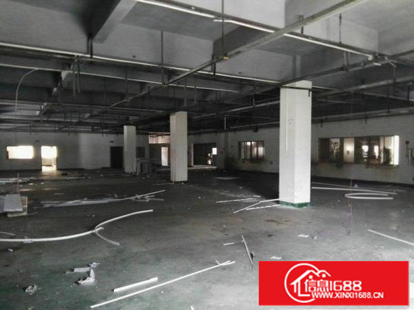 龙岗区坪地附近标准一楼实际面积1300平方带装修出租