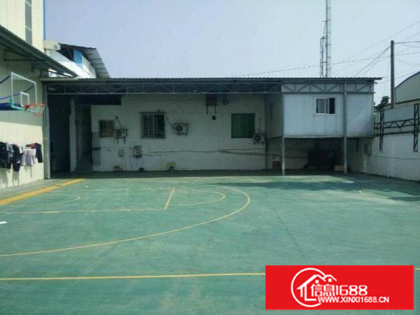 可办环评,容桂独院1000方带吊机星棚,电大好进车!