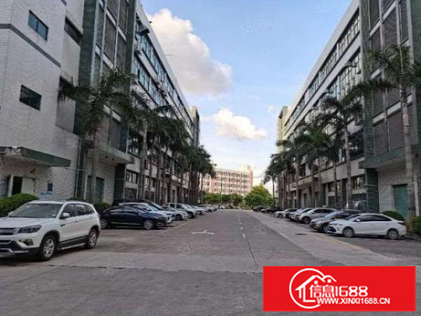 布吉南岭龙山工业区村委厂房宿舍30000平方出租，可分租