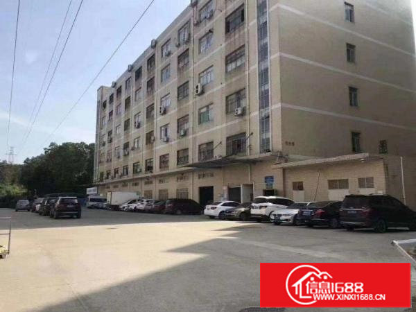 原房东1楼厂房仓库3000平米可分租