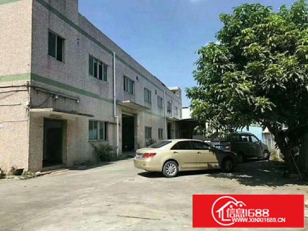 平湖标准精美小独院4300平招租（可分租）