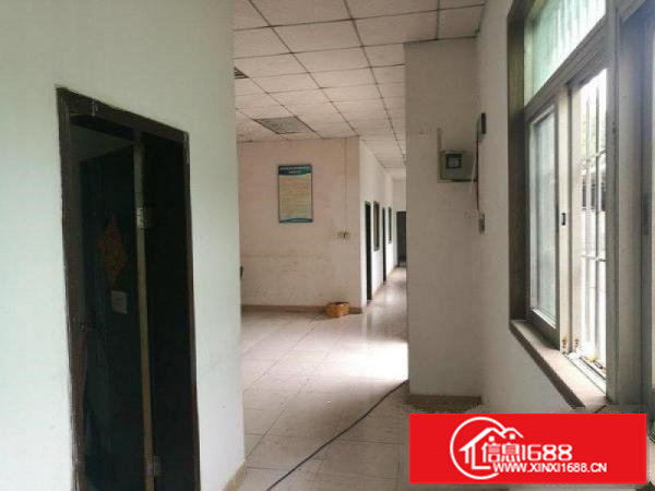 环观南路清平高速出口独院单一层厂房出租