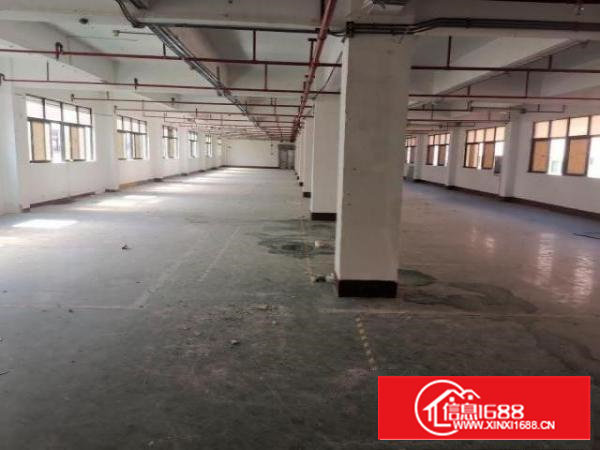 西乡富源工业城楼上精装修1300平，先到先得！