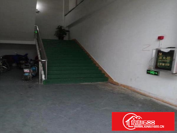 虎门新出！独院厂房4200平米（租金13元）低价