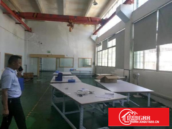 沙井西部锦程路新出一楼带装修带行车厂房