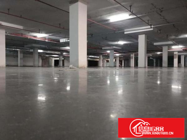 厂房出租独栋厂房4500平方米标准厂房招租