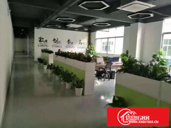 龙岗南联带装修红本厂房单层1600平出租