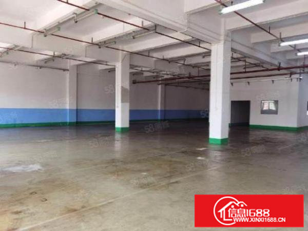 横沥靠近高速路口标准厂房一楼1000，现房出租全新地坪漆