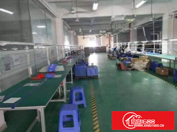 塘厦莲湖标准一楼1400平出租空地大可整租，分租