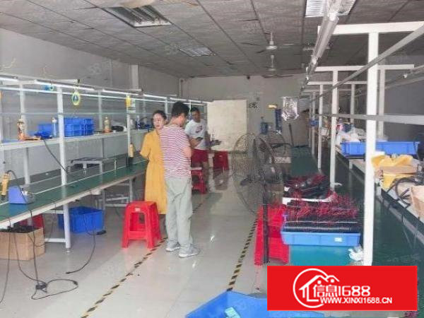 沙井新出楼上400平带装修8300打包价