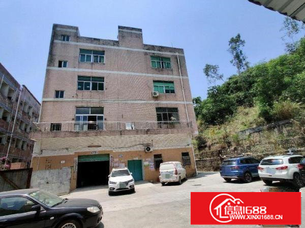 228工业区厂房二层三层出租各800㎡可分组