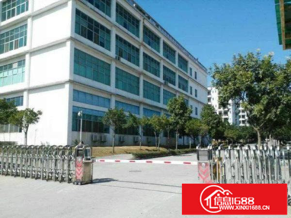龙岗宝龙红本厂房出租5000平适合办公研发医疗高薪行业