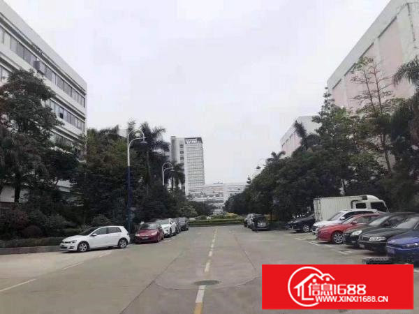 坪山六联新出原房东一楼1350平厂房出租层高9米