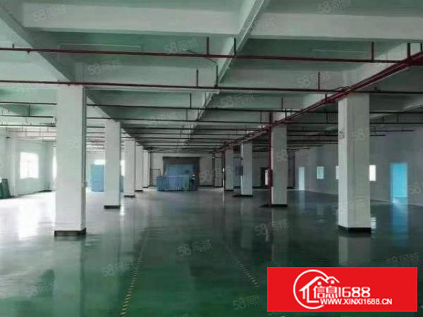 大朗镇新出经典厂房总面积14800平方招租，大小可分