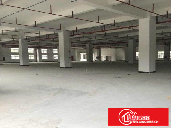凤岗镇全新红本带喷淋厂房20000平出租，可分租