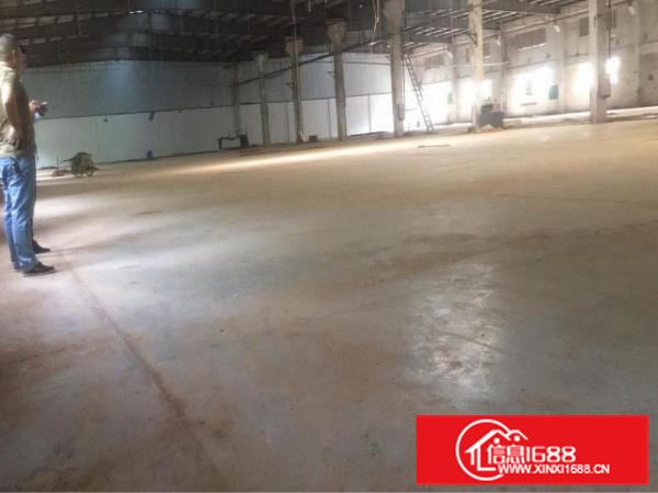 惠阳大亚湾高大上钢构厂房低价出租，带红本