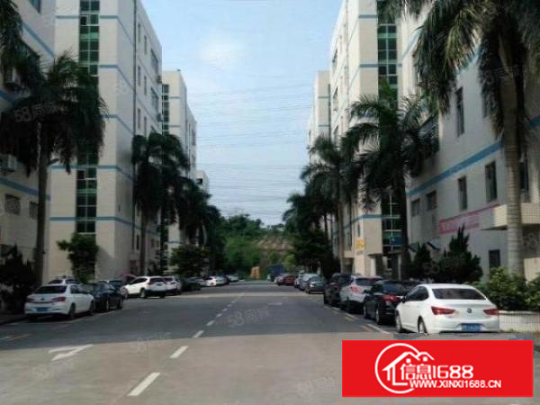 大浪上横朗工业区现有带装修厂房一层1600平方米出租