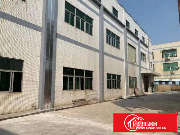 塘厦镇大坪原房东独院7500平方实际面积出租