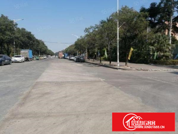 雁田安佳第二科技园新出650平钢结构铁皮房厂房出租空地超大