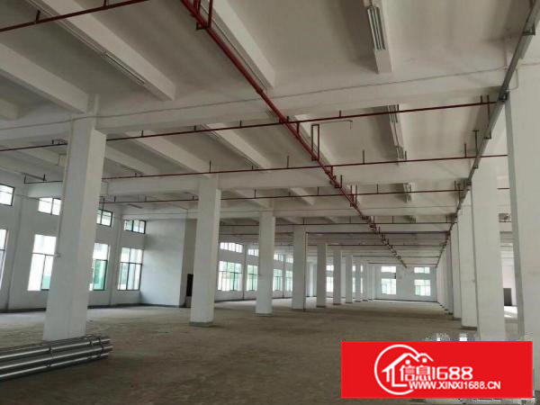 桥头东部快速边标准厂房2850一层带牛角位消防喷淋