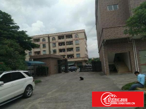 谢岗专业厂房出租客户零收费