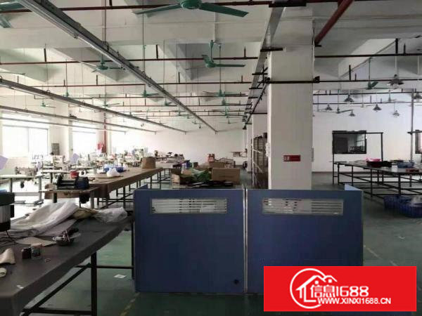 距离龙岗地铁口1.5公里，独院厂房出租，仅需20元/平