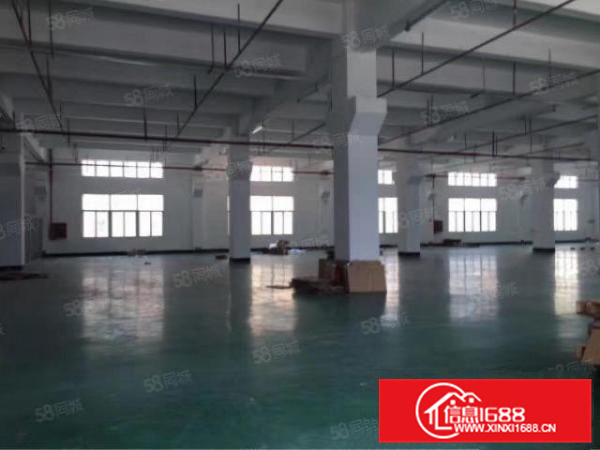 北滘独院10000方，布匹仓库，带喷淋，4台5吨货梯，形象好