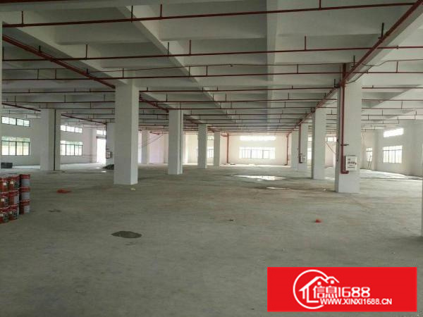 园洲镇工业园标准厂房出租8800平方，原房东独门独