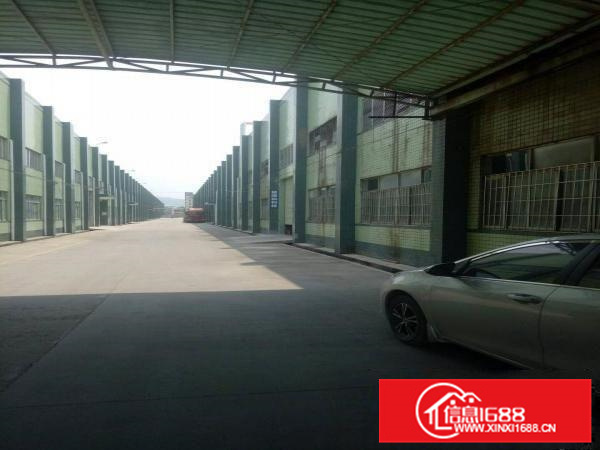 镇隆工业区附近独院钢构厂房11000平米，滴水8米