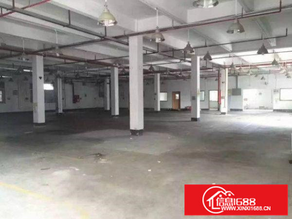 清溪清厦2500平方独门独院厂房出租